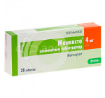 Монкаста 4мг (Monkasta) 100таб