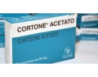 Кортон 25мг (Cortone) 25таб