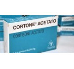 Кортон 25мг (Cortone) 25таб