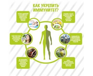 Методы укрепления иммунитета
